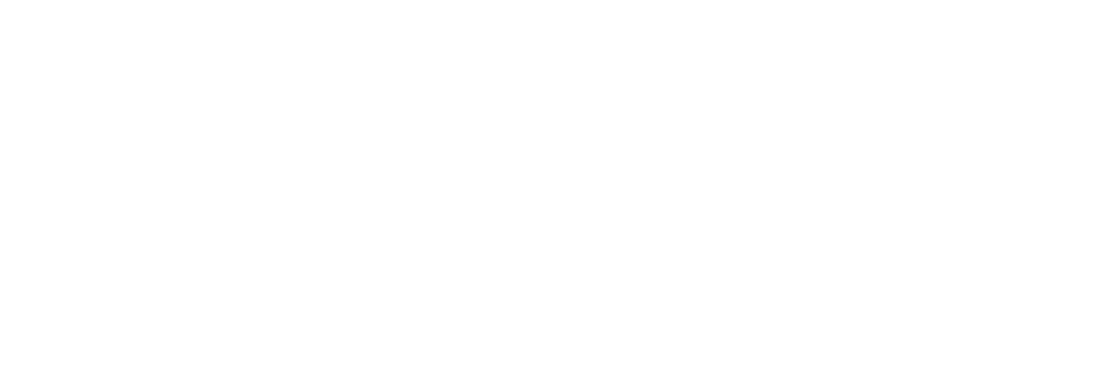 Züblin Immobilien logo fulle size on a dark background (transparent PNG)