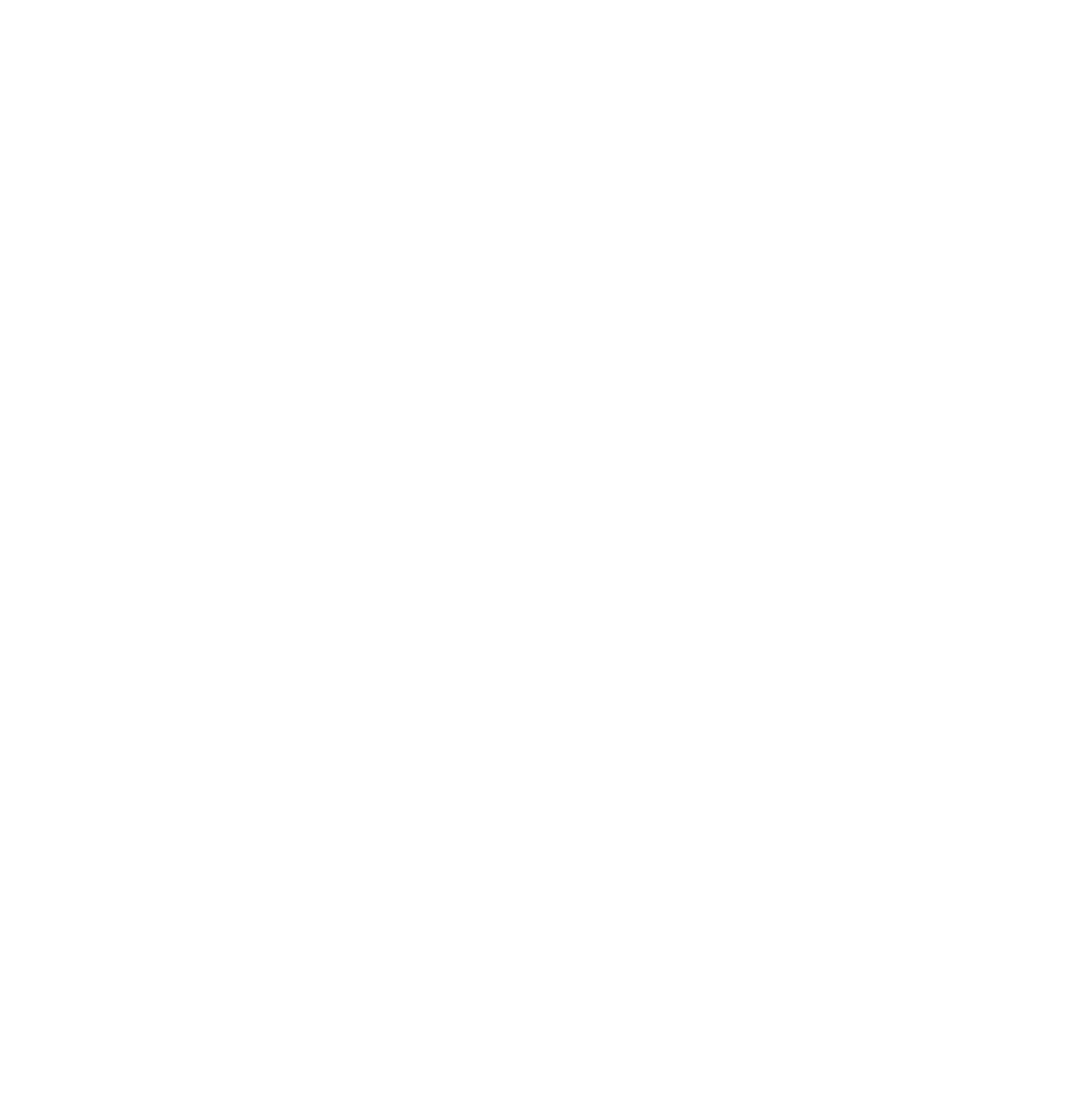 Checkr logo pour fonds sombres (PNG transparent)