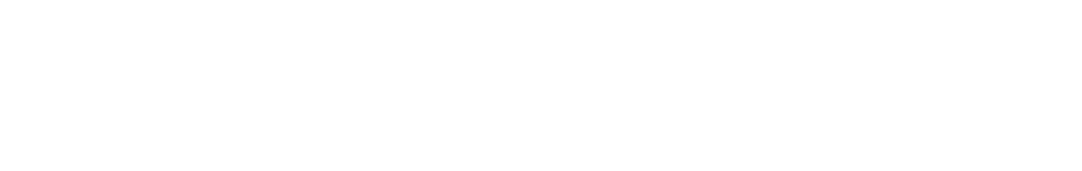 Databricks Logo groß für dunkle Hintergründe (transparentes PNG)