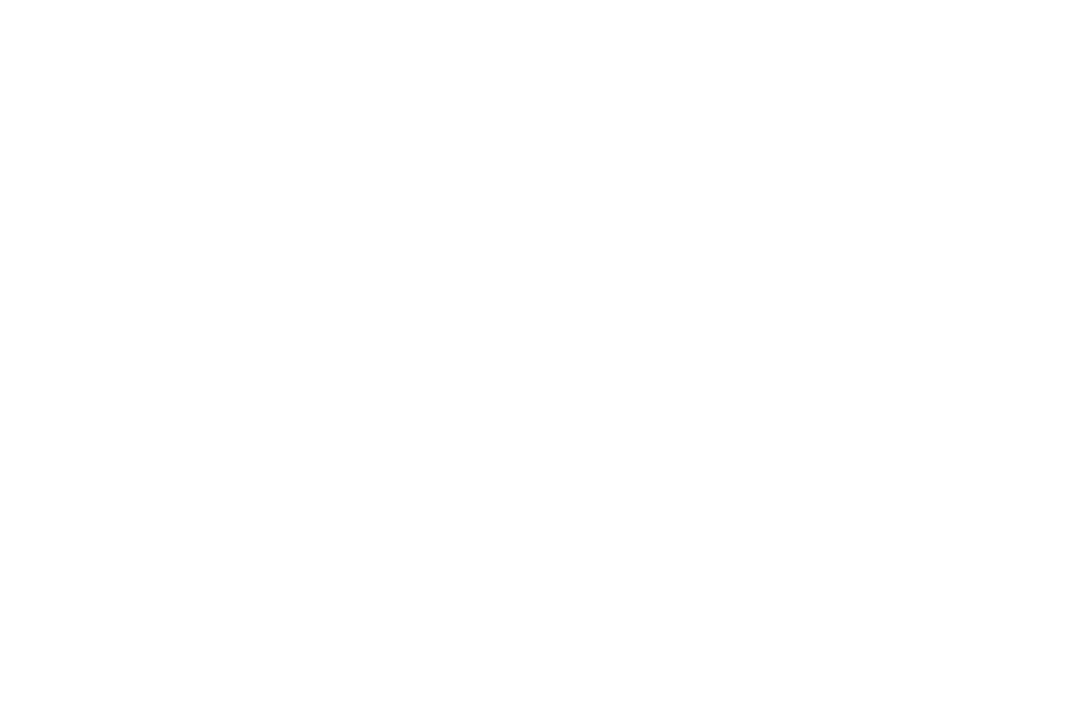 Deep Instinct logo pour fonds sombres (PNG transparent)