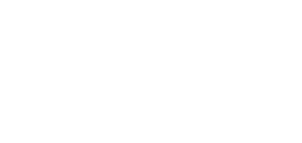 Deep Instinct logo grand pour les fonds sombres (PNG transparent)