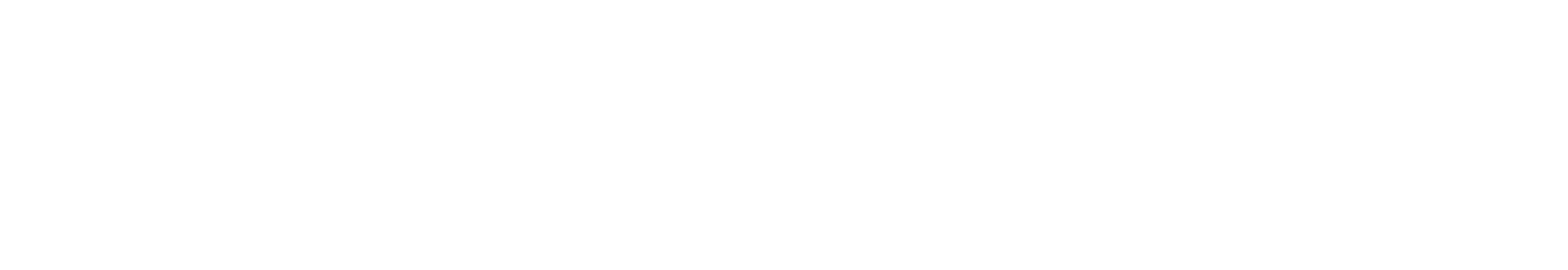 Egon Zehnder logo fulle size on a dark background (transparent PNG)