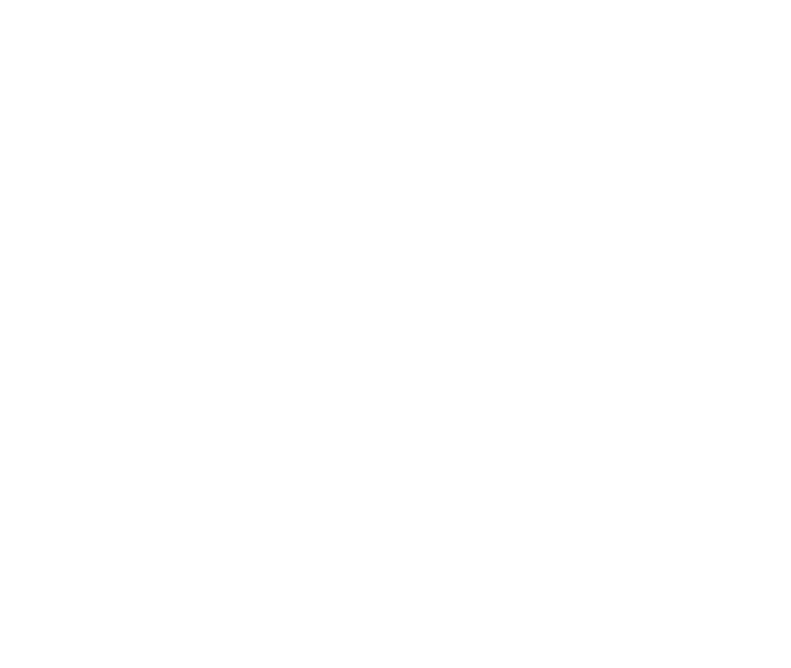 eToro Logo für dunkle Hintergründe (transparentes PNG)