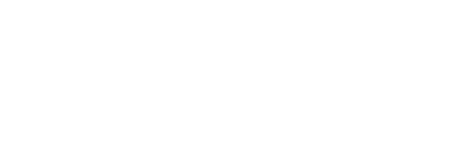 JPMorgan Asset Management Logo groß für dunkle Hintergründe (transparentes PNG)