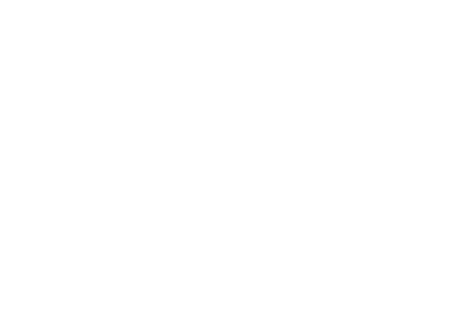 N26 Logo für dunkle Hintergründe (transparentes PNG)