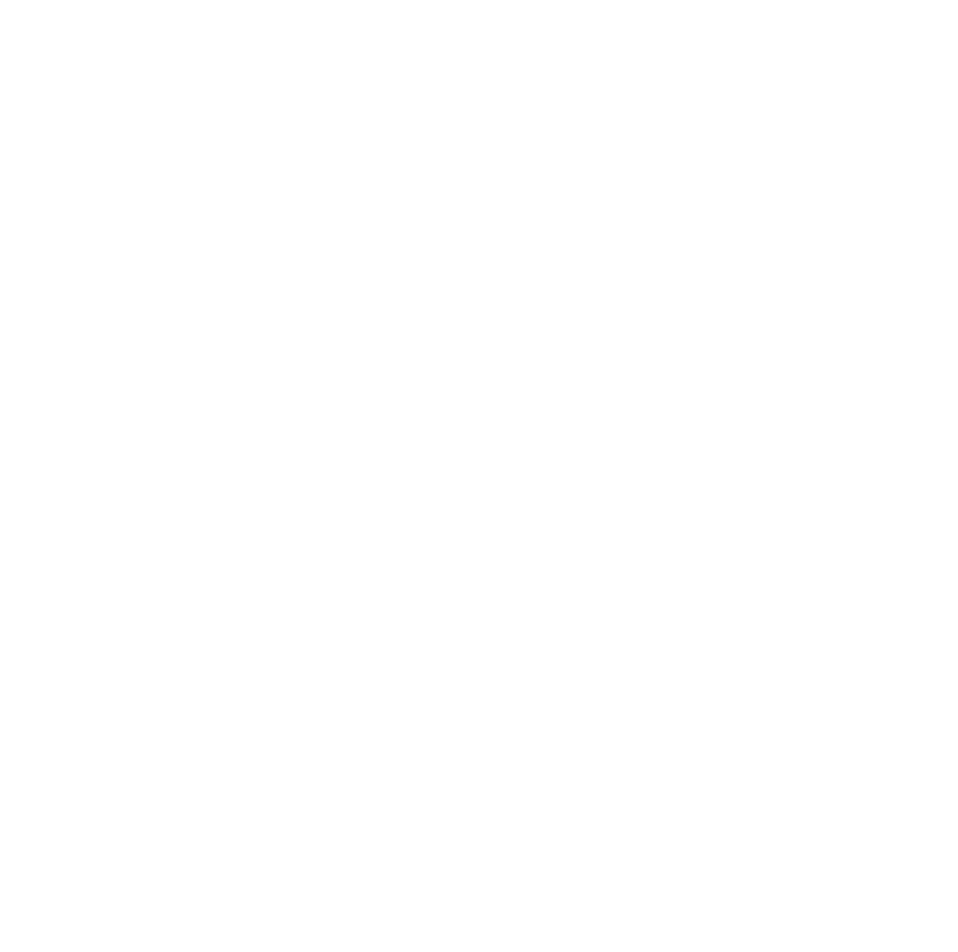 Newsela logo on a dark background (transparent PNG)