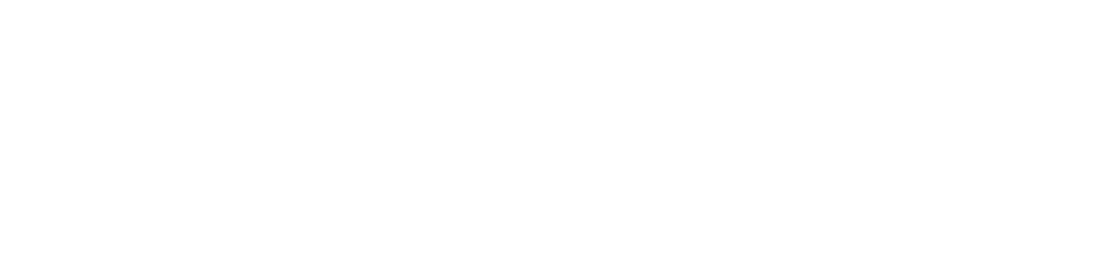 Newsela logo fulle size on a dark background (transparent PNG)