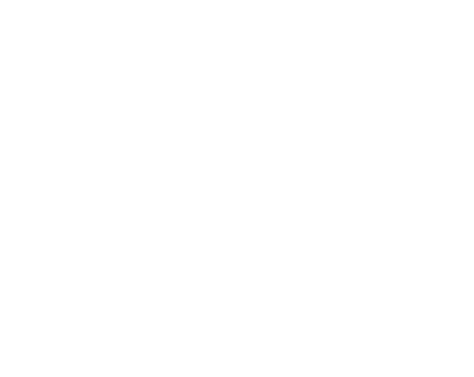 NordVPN logo for dark backgrounds (transparent PNG)