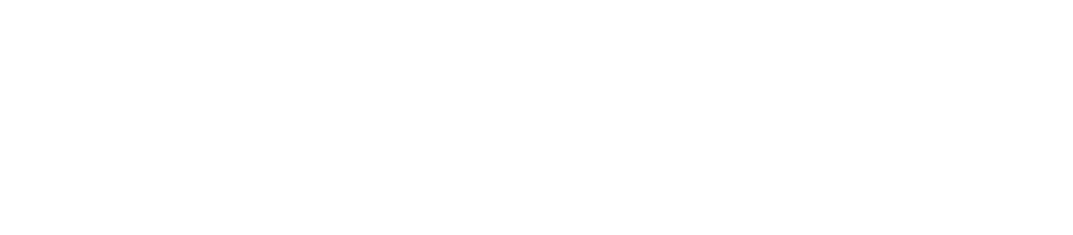 NordVPN logo large for dark backgrounds (transparent PNG)