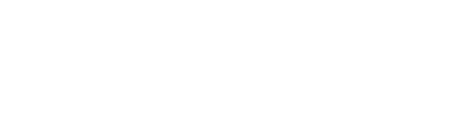 Nuveen logo large for dark backgrounds (transparent PNG)