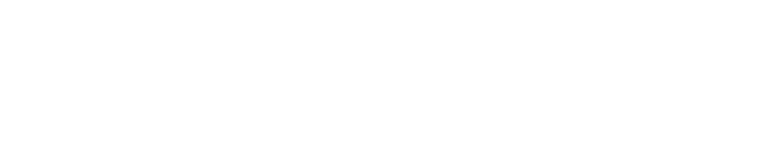 Tortoise Capital Logo groß für dunkle Hintergründe (transparentes PNG)