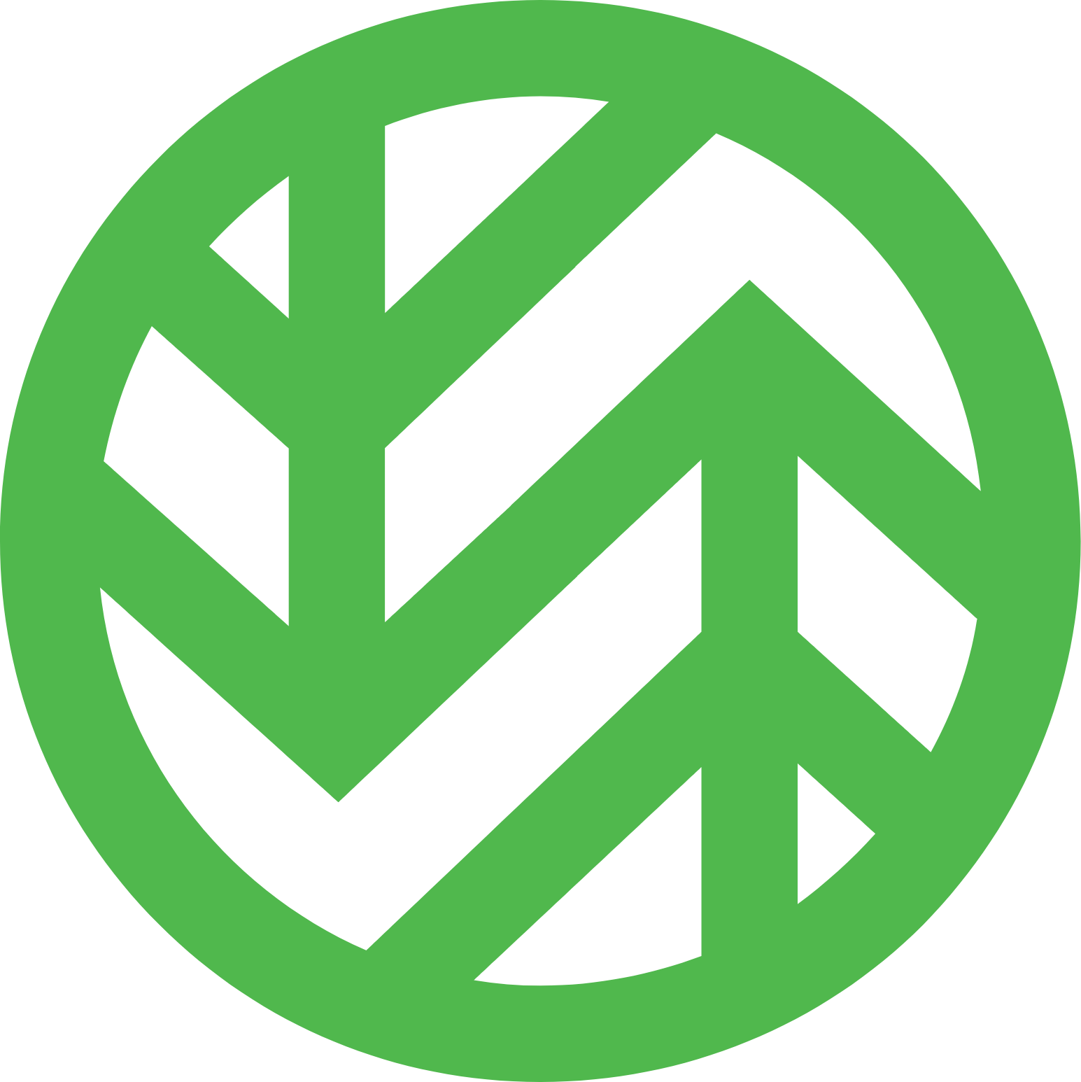 Wasabi Technologies logo (transparent PNG)