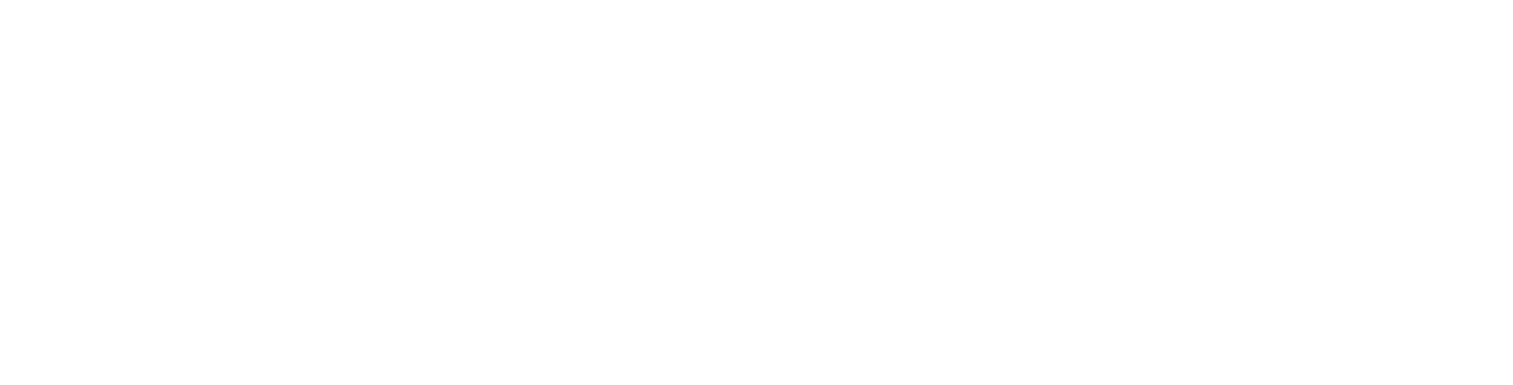 Zend logo grand pour les fonds sombres (PNG transparent)