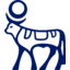 Logo of NVO