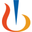 Logo of NVS
