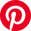 Logo of PINS