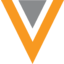 Logo of VEEV