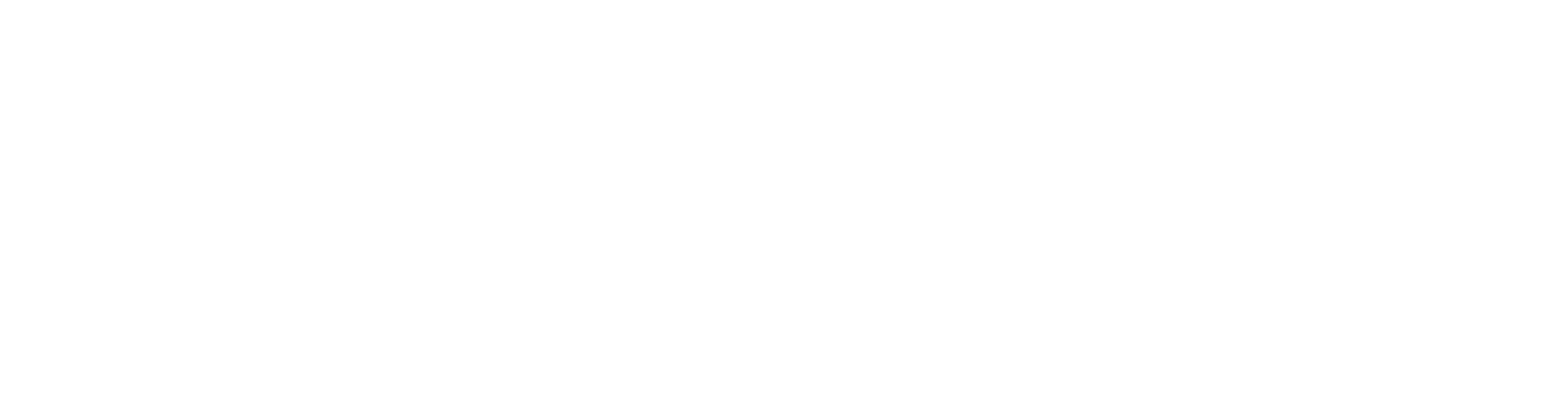 Digital Domain Holdings Logo