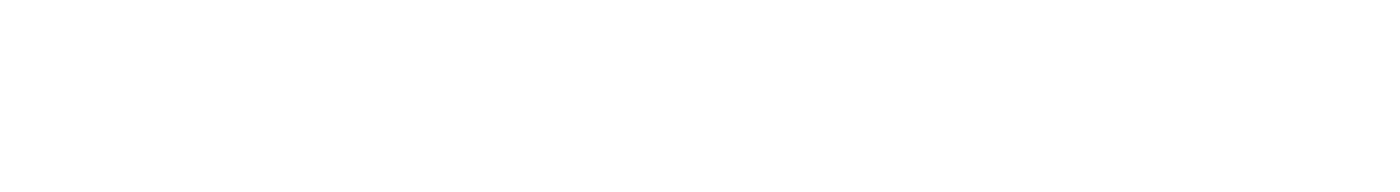 Nippon Paint Holdings Logo