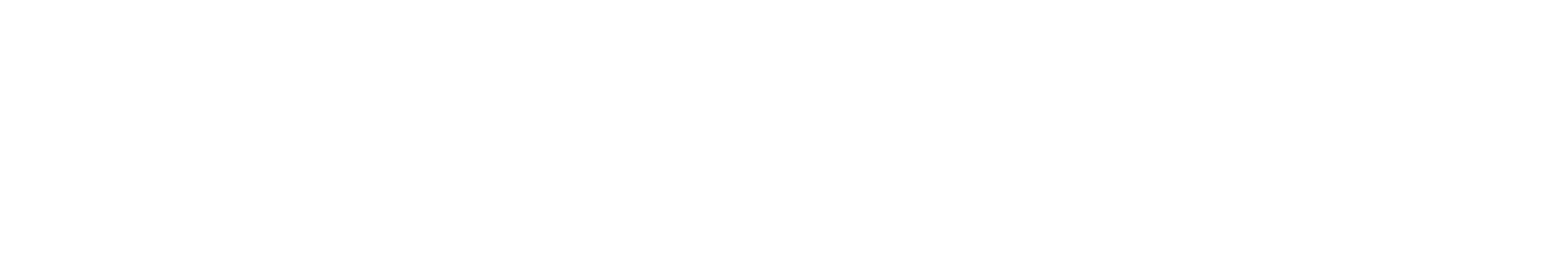 New China Life Insurance Logo