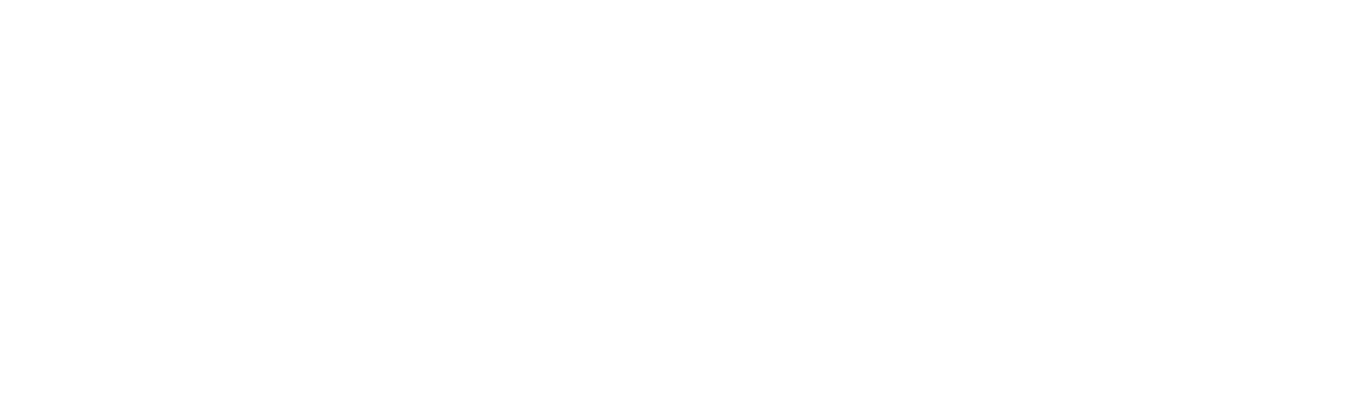 Pan Pacific International Holdings Logo