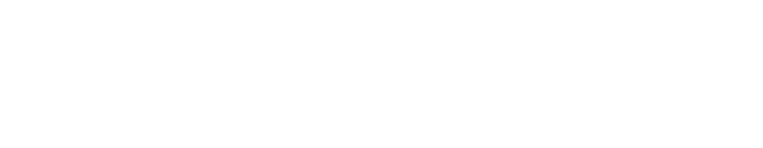American Eagle Outfitters Logo