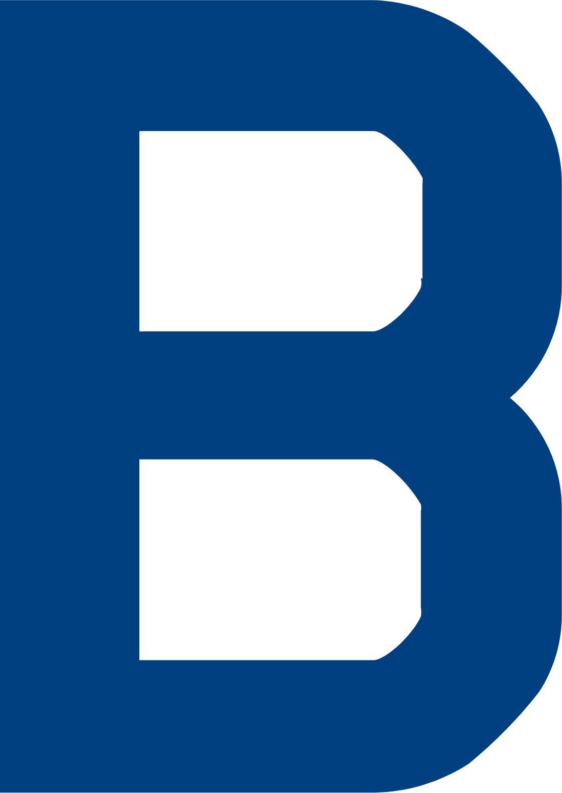 Bachem Holding Logo