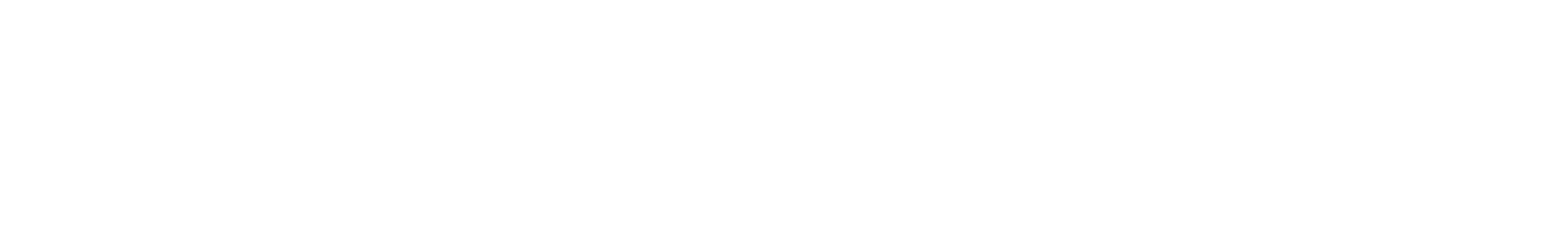 Birkenstock Holding plc Logo