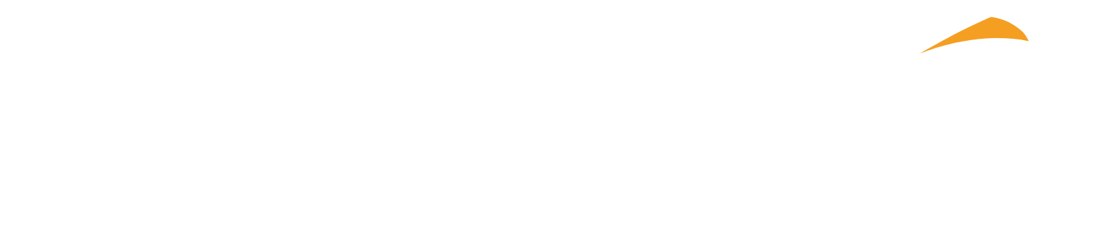 Basler Logo