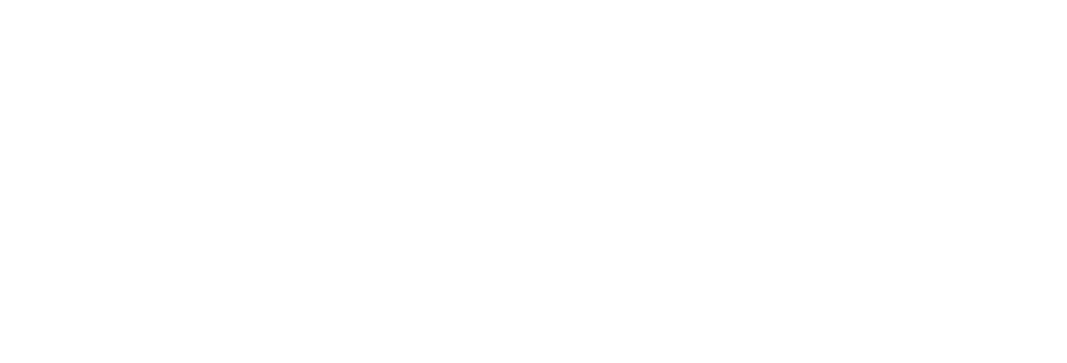 Boston Scientific Logo