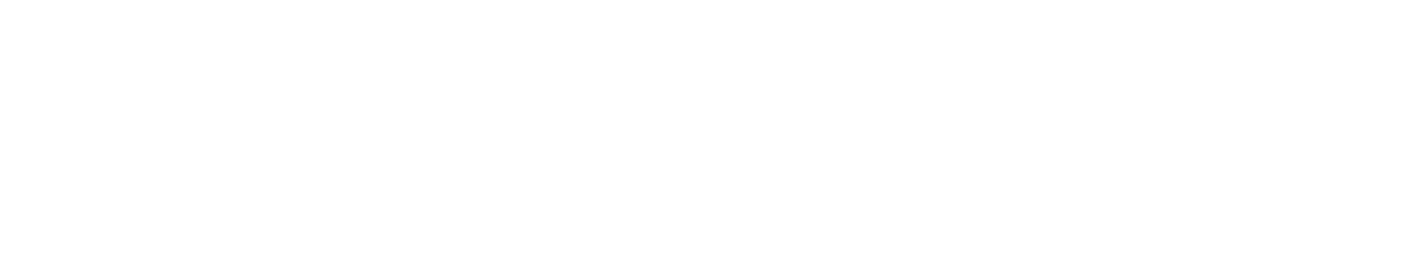 Brightspring Health Services Logo