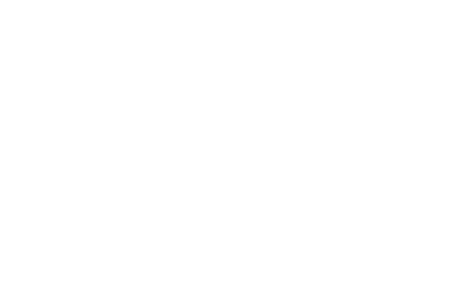Carrefour Logo