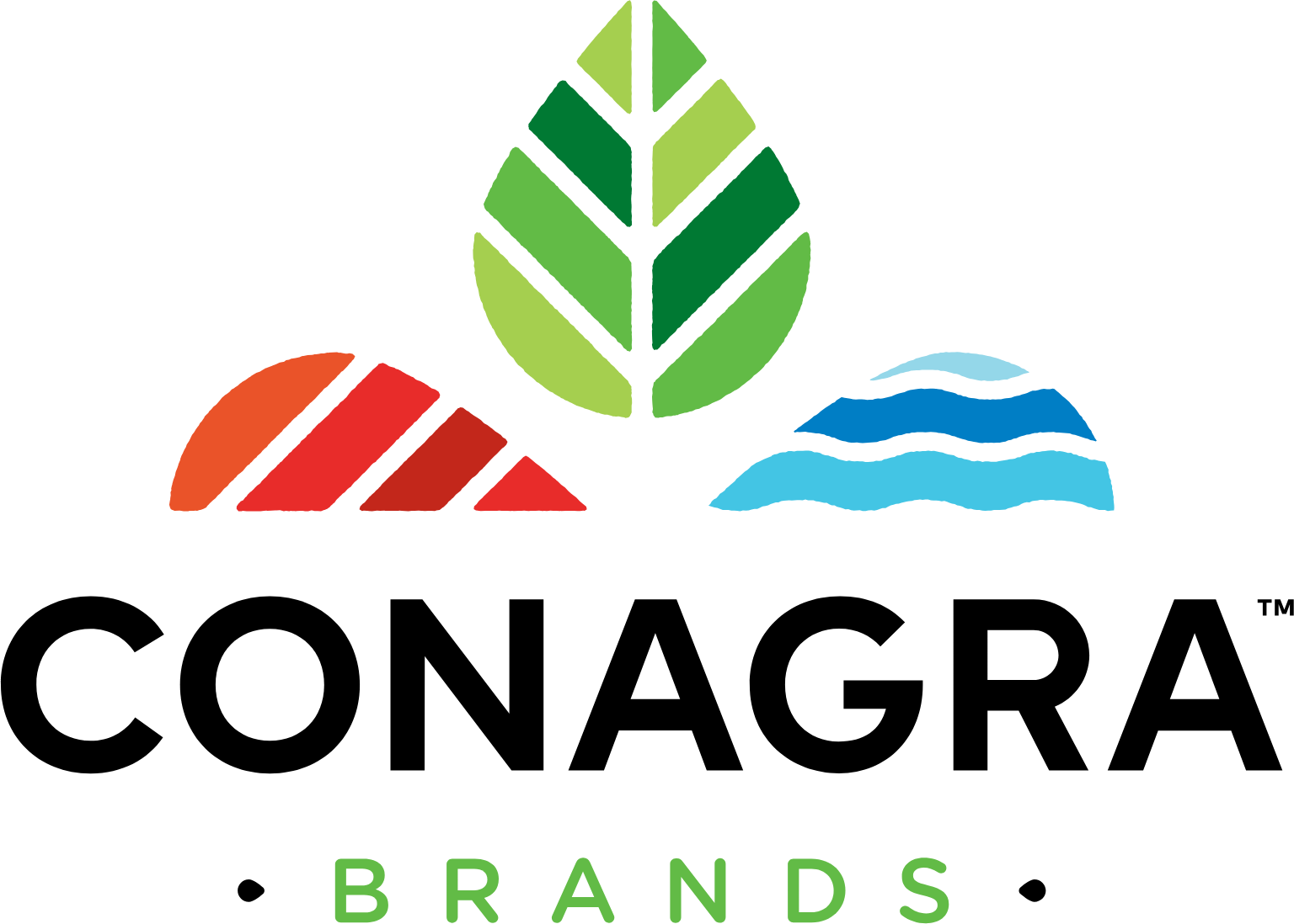 Conagra Brands Aktie