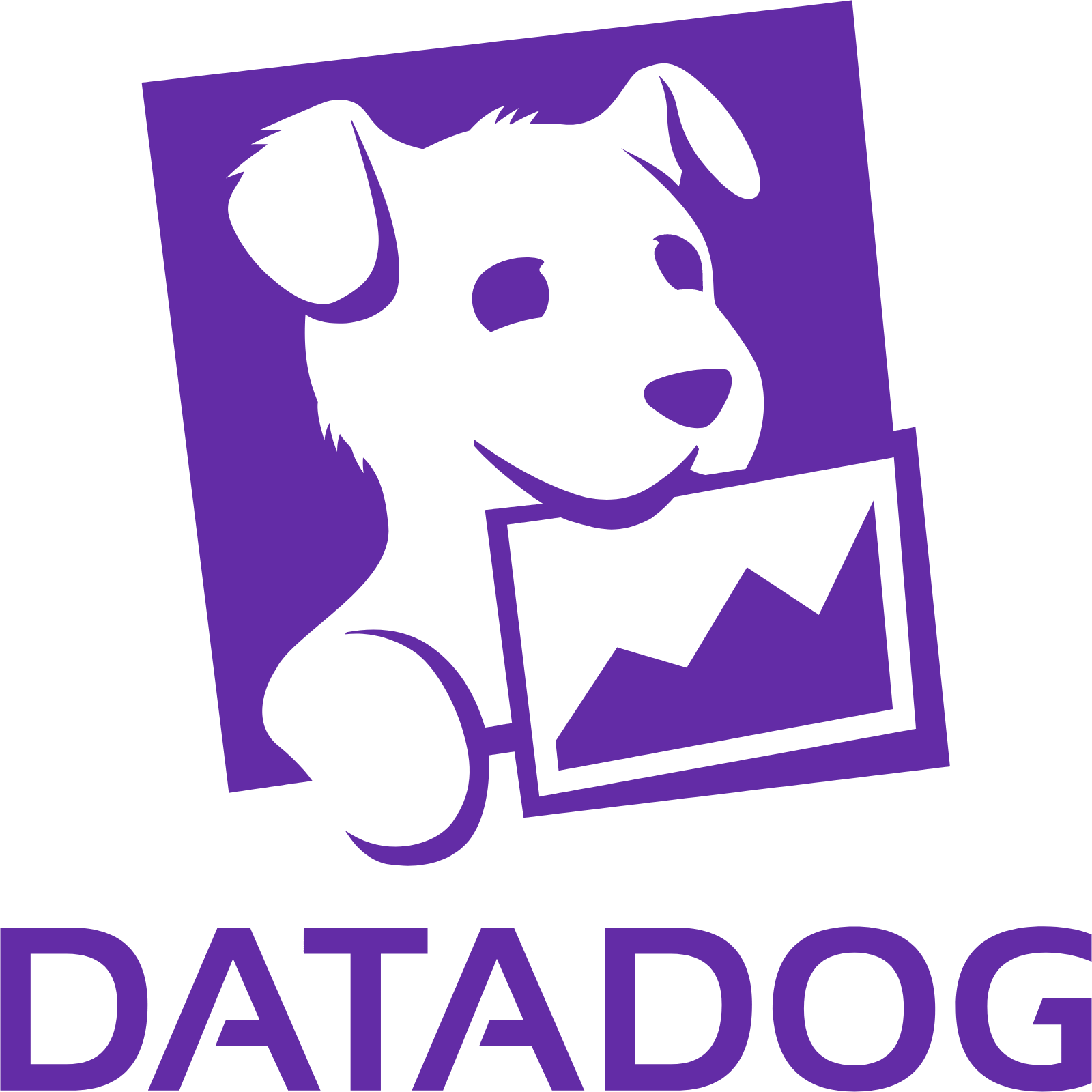 Datadog Aktie