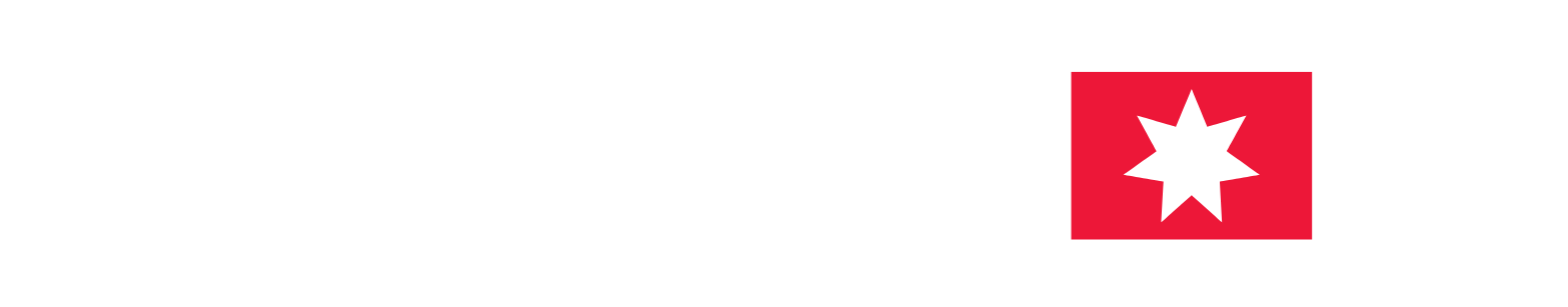 NORDEN Logo