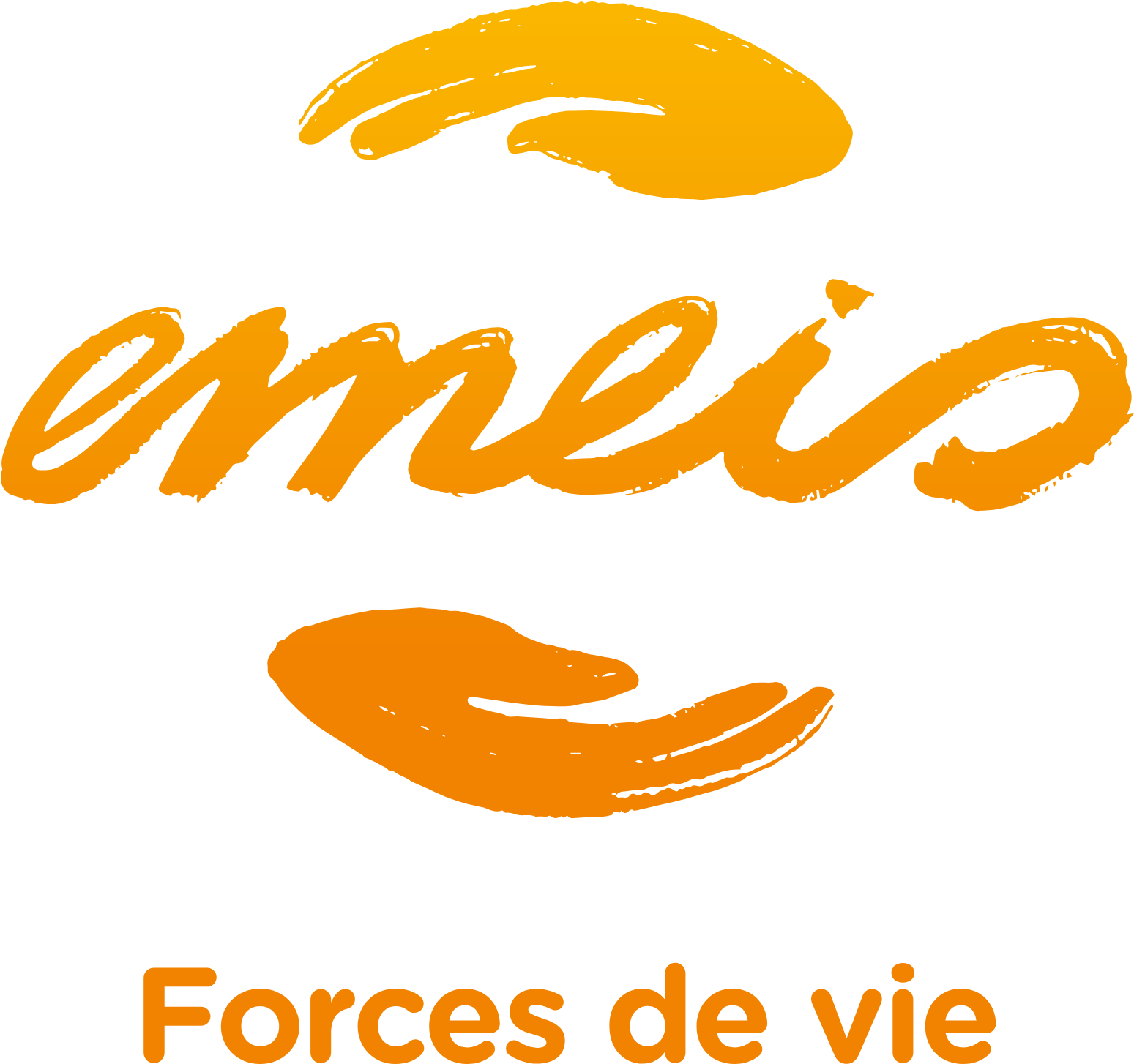 Emeis Logo
