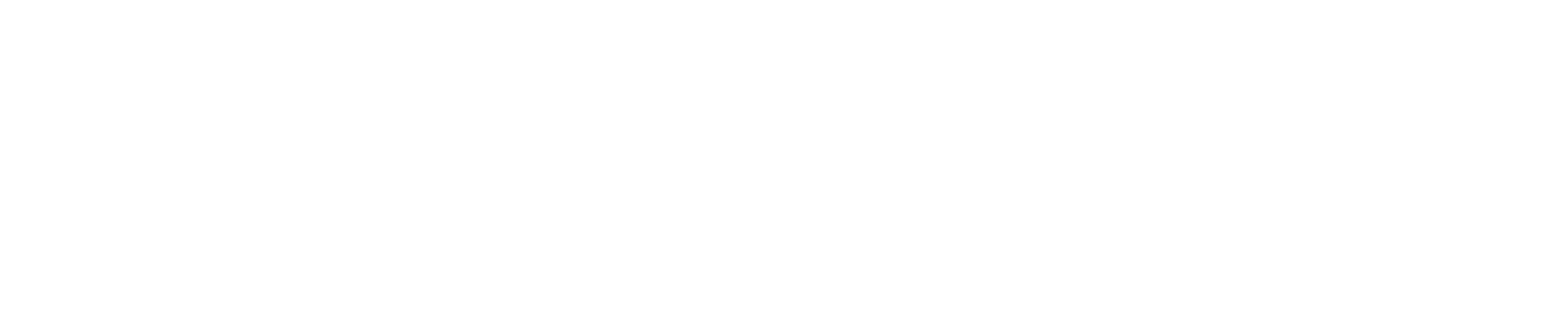 Fortune Brands Home, Security Logo