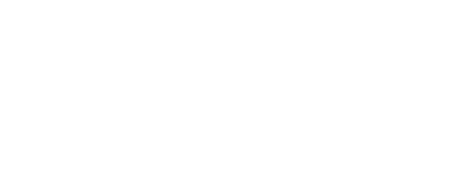 First Business Services Logo