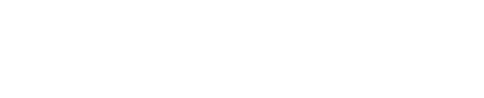 FTI Consulting Logo