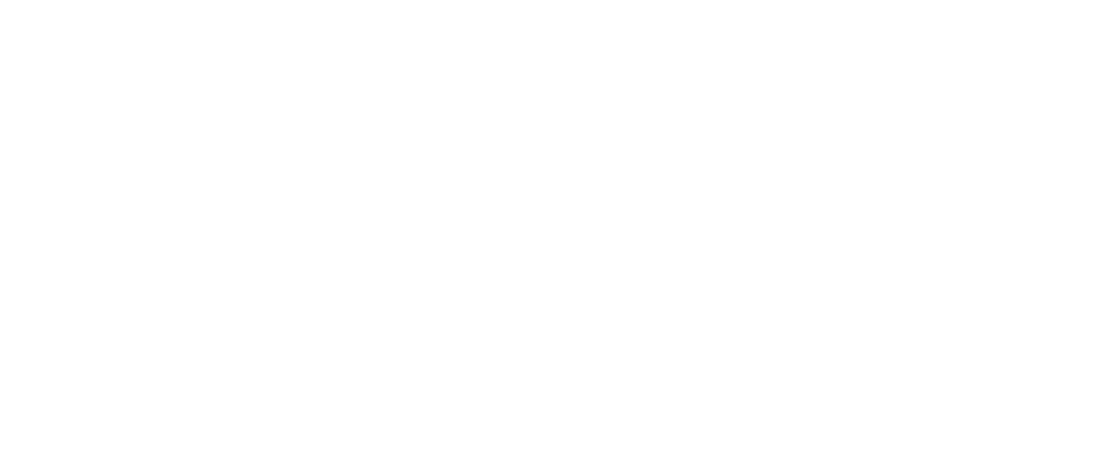 Fidelity National Information Services Logo