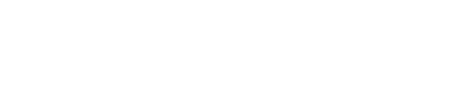 Fannie Mae Logo