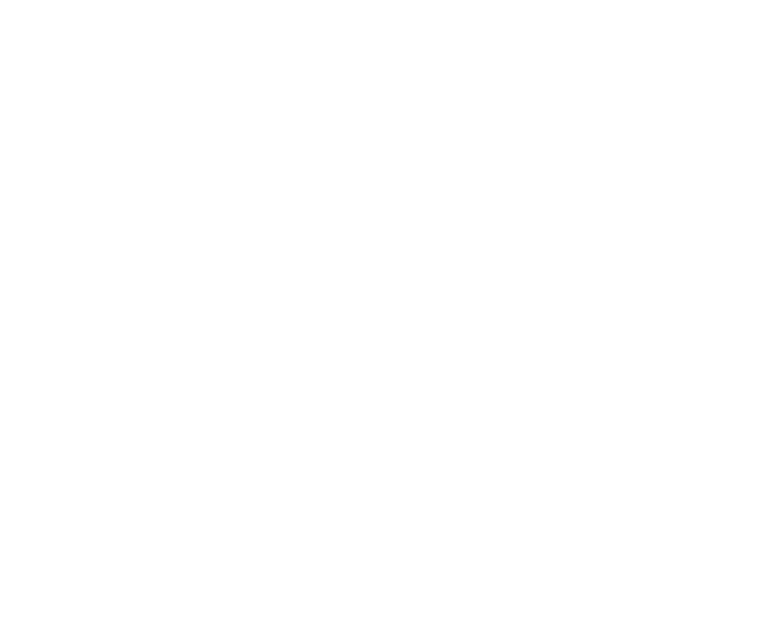 Insurance Australia Logo