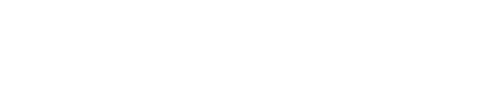 IG Holdings Logo