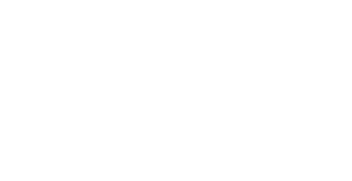 indiemiconductor Logo