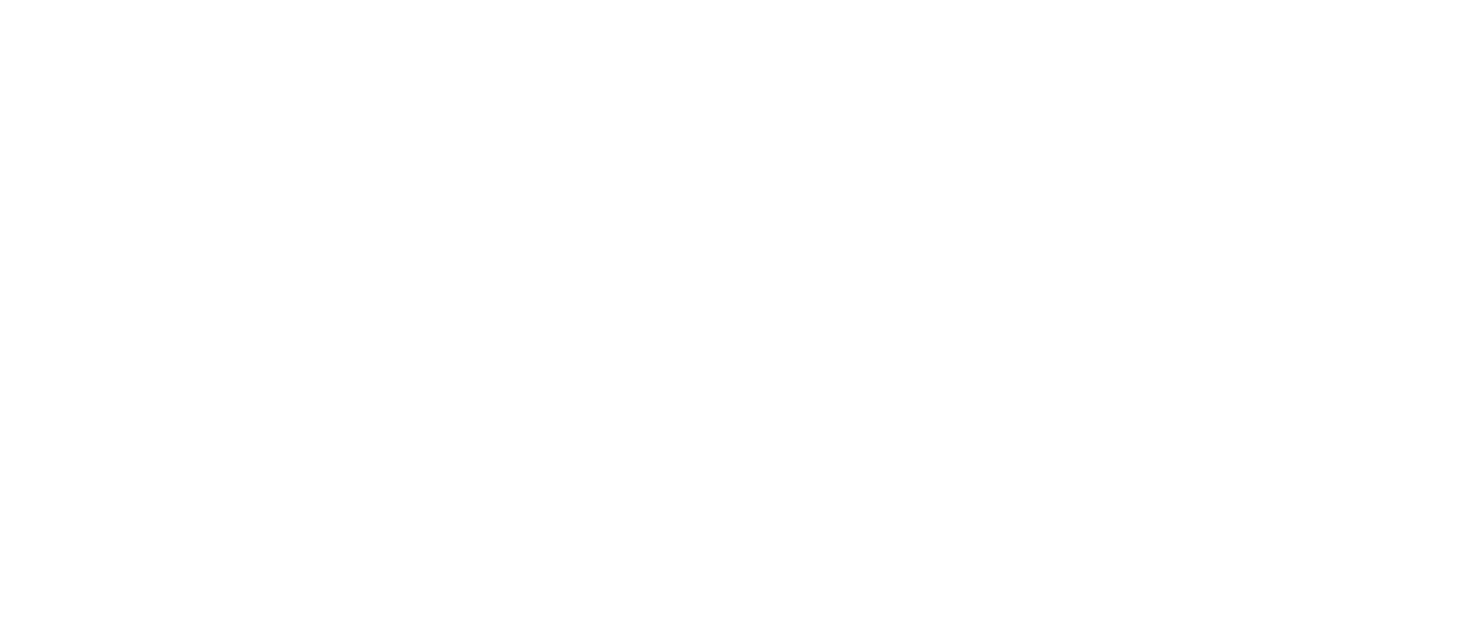 Matador Logo