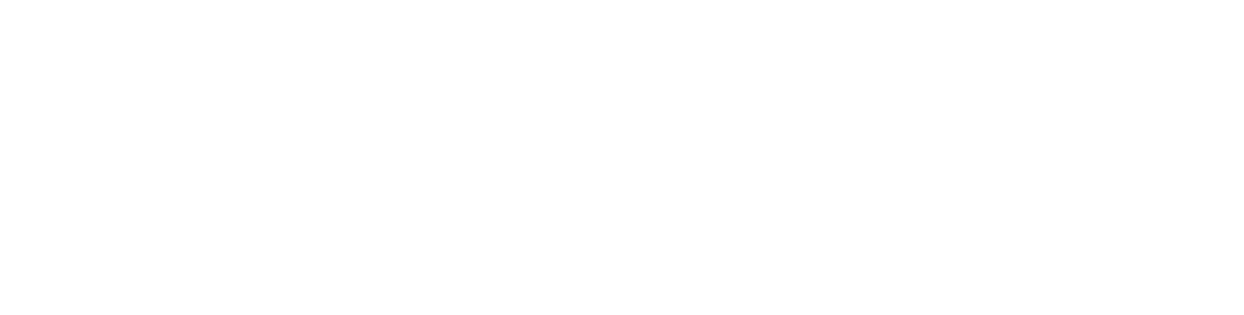 Nemetschek Logo