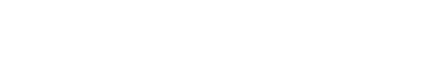 Newtek Business Services Logo