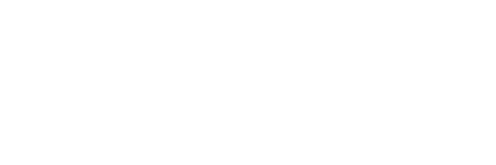 Northern Oil & Gas Logo