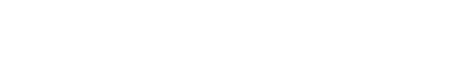 Nordic Paper Holding AB Logo