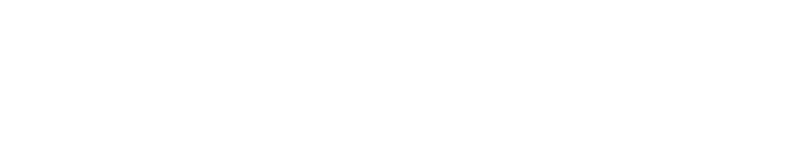 Netease Logo